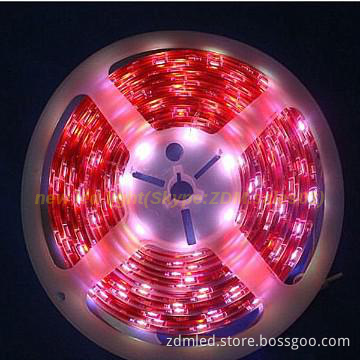 new led strip 3528&5050 for billboard&machine&car